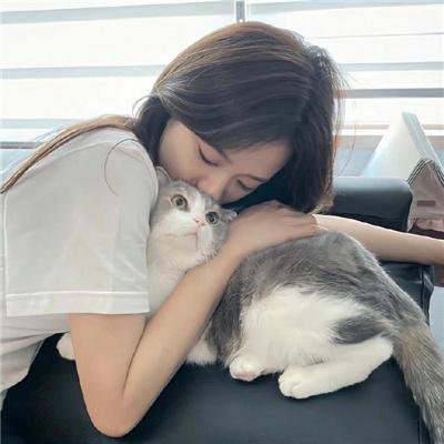 自由战士：射线 电影版